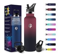 HoneyHolly Gourde Isotherme 750 ML, Reutilizable Sin BPA, Bouteille Isotherme, Aislamiento Al Vacío de Doble Pared, Gourde Inox, avec Paille, Bouteille d'eau Metal para Adultos, Deporte, Oficina, Yoga