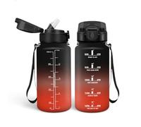 HoneyHolly Gourde Paille 500ml, sans BPA & Étanches, Bouteille, Motivation Bouteille d'eau, Avec Marqueur de Temps, Petite Gourde pour Gym, Ecole, Cyclisme, Plein Air, Sport