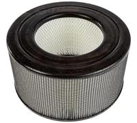 Honeywell Air Purifiers and Fans CP170-HEP Filtre HEPA de remplacement pour purificateur d'air HA170E1 (Import Grande Bretagne)