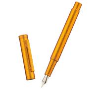 Hongdian 1851 Stylo-plume Forest Fleurs de Glace Dorée, Pointe Lame Design Classique avec Convertisseur et Étui en Métal