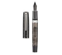 Hongdian N7 Stylo plume à piston en résine grise à pointe fine en acier, stylo classique Robbit sur le dessus, stylo d'écriture lisse avec étui en métal