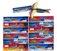 HONGECB 24 Pièces Jouets de Planeurs Dinosaures Polystyrène, Avion en Polystyrène, Planeurs Polystyrène, Avions en Polystyrène Expansé Différents Motifs, Cadeaux d'anniversaire - Emballage Individuel
