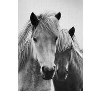 HONGSHUAI Impression sur toile avec 7 chevaux noirs et blancs pour décoration de salon et de chambre à coucher, 20 x 30 cm, sans cadre