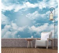 HongYouQi Papier peint 3D Ciel Bleu Nuages Blancs Mouettes Paysage | Textures Décoratives et Luxueuses Idéales Pour Les Bureaux Espaces de Travail Maisons Chambres Salons et Murs Tv-150cm×105cm