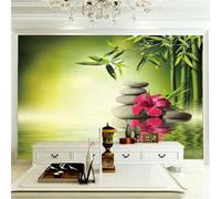 HongYouQi Vert Bambou Forêt Vue Du Lac 3D Mural Art Décoration Chambre Salon Moderne Tv Fond-400Cm×280Cm