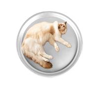 Honhoha Panier Rafraîchissant pour Chat - Lit Aluminium Rafraîchissant pour Animaux de 39,9 cm,Tapis Antidérapant Lavable pour Temps Chaud d'Été Intérieur Extérieur Transport