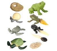 HONITANO 2 Ensembles Figurines Évolution et Tortue Jouets Éducatifs Décoration Garçon Fille Enseignement
