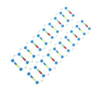 HONITANO 2 pièces Kit Éducatif Modèle Double Hélice Composants Plastiques Auto-assemblables pour Études Biologiques Outil Pédagogique Laboratoire et Étudiants