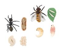 HONITANO 2Ensembles Modèles Cycle de Vie Fourmis Éducatifs pour Garçon Fille Aides Pédagogiques et Cognitives Enseignement Précoce et Simulation Réaliste