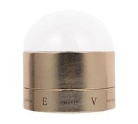 HONITANO Boîte à Chocolat Transparente en Acrylique Petite Taille Dorée Fleurs Éternelles Coffret Présent Mariage Élégant Contenant de Chocolat pour Fête et Saint-Valentin