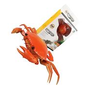 HONITANO Crabe Télécommandé Simulation Réaliste avec Yeux Lumineux et Membres Mobiles Éducatif pour Fête et Garçon Fille