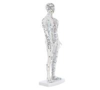 HONITANO Modèle Acupuncture Humain Masculin Mannequin de Points Acupuncture Précis pour Enseignement et Formation Médecine Chinoise Modèle de Méridiens pour Hôpitaux et Écoles