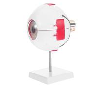 HONITANO Modèle Anatomique Oculaire Humain Agrandi avec Support Modèle Détachable Réaliste pour Enseignement Médical et Cours de Biologie Classe