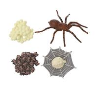 HONITANO Modèle Cycle de Vie Araignée Éducatif Animal Décoration Réaliste Support Apprentissage Garçon Fille Outil Pédagogique Insecte