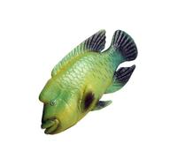 HONITANO Modèle De Poisson Artificiel Ornement De Napoléon Jouet De Napoléon Animal Marin Artificiel Modèle Animal Statue Animaux Marins