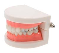 HONITANO Modèle Dentaire Détachable pour Enseignement Dents et Gencives en Plastique Réaliste Modèle Pédagogique Standard pour Dentiste Démonstration du Brossage Étude Buccale Adulte