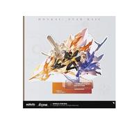 Honkai: Star Rail - Figurine acrylique Preservation of Path Series Trailblazer Male 25 cm