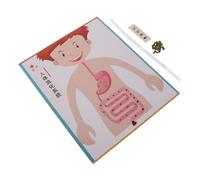 HONMEET 4 Ensembles DIY Digestive System Model for Educational Human Digestive System Craft Supplies Interactive Science Experiment Kit for School and Home Learning