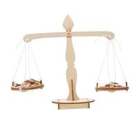 HONMEET 5 Pièces Kit STEM pour Garçon Fille Balance à Levier à Assembler Éducatif Expérimentation pour Activités Ludiques et Apprentissage des Principes Physiques DIY