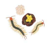 HONMEET Figurines Cycle de Vie Animaux Educatif Centipede Modèle Réaliste pour Garçon Fille Apprentissage Nature