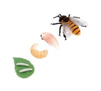 HONMEET Figurines Cycle de Vie de Petite Écrevisse Éducatives pour Garçon Fille Modèle Scientifique et Réaliste pour Apprentissage Biologique