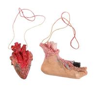 HONMEET Lot de 2 Pendentifs D’Organe Humain Simulé Halloween Décoration Effrayante Suspendue Accessoires pour Maison Hantée Pièces de Corps Réalistes