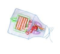 HONMEET Tablier Éducatif Transparent Organes Humains Modèle Pédagogique pour École Maternelle Apprentissage Anatomie Corps Humain Matériel Enseignement Précoce