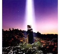 HONNE Let's Just Say the World Ended a Week from Now, What Would You Do (Vinyl)