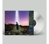 Honne – Let's Just Say the World Ended a Week From Now, What Would You Do? – Vinyle 33 tours
