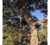 Honseadek Carillon éolien en métal pour décoration extérieure avec motif papillon pour décoration de jardin, terrasse, cour (pommes de pin)