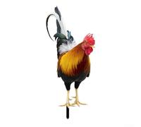 Honseadek Décoration de jardin, pelouse, terrasse, résistante à la décoloration pour un endroit simple et durable, coq en acrylique résistant aux intempéries, décoration d'art pour piquet (A)