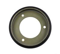 Honseadek Disque de friction Am123355 avec pour Murray pour souffleuses à neige Ariens Lm21 313883 53830 03248300 pièce compatible Lm213 Lm21sw 1501435ma 110 mm