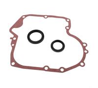 Honseadek Ensemble de joint d'huile de rechange pour tondeuse à gazon - Joint de carter et joint d'huile pour Combo pour 697110 et 795387, kit de réparation de petit moteur, joint métallique pour 55,9