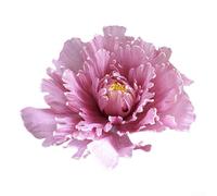 Honseadek Grande pivoine artificielle de 30 cm avec tige de 20 cm, accessoire de décoration de mariage en lin et plastique, arrangement floral réaliste pour cérémonie (couleur racine de lotus)