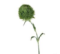 Honseadek Green Carnation Fleur artificielle avec pétales en plastique souple pour décoration d'intérieur, bureau et mariage, arrangements floraux, plante d'intérieur nécessitant peu d'entretien (vert