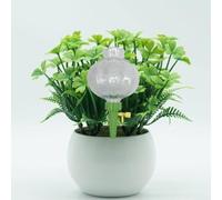 Honseadek Piquet d'arrosage automatique avec infiltration réglable, pic d'arrosage automatique pour plantes en pot, dispositif d'hydratation transparent en forme de lanterne pour la maison