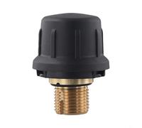 Honseadek Soupape de sécurité pour nettoyeur vapeur, pour aspirateur SC1 SC2 CTK10, valve de protection en métal, couvercle de moteur à vapeur, pièce de chaudière composant (1 pièce)