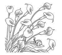 Honsell 12138 - Cadre avec Motif Calla, Format 30 x 30 cm, Motif pré-imprimé à colorier avec des peintures acryliques, aquarelles et à l'huile et feutres et Crayons de Couleur