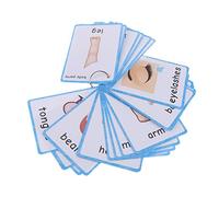 HONTOUSIP 36 Body Parts- Educational Learning Picture & Word Card Flashcards(English Word Learning Card & Pocket Size Flash Card for Children and Preschool) 12x9cm -English Vocabulary Cards