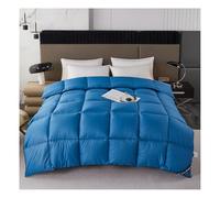 HonunGron Couette en Duvet Confort Hiver, Tres Chaude Épais Garnissage, 150/180/200/220 1/2 Personne Couette pour L’Hiver, Plumes d'oie et Duvet Doux et Moelleux (Bleu,200x230cm(4kg))