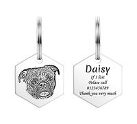 HooAMI Medaille Chien avec Gravure,Personnalisé Medaille Chien Hexagone,Gravée Portrait Prénom Adresse Numéro De Téléphone pour Chien et Chat(Argent,S)