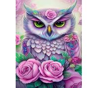 Hoobee 5D Diamond Painting Chouette, Peinture Diamant Animal, Diamant Painting Broderie au Point de Croix Mosaïque Strass Décoration de la Maison 30x40 cm