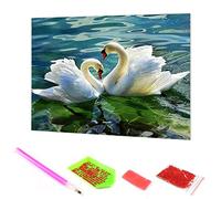 Hoobee 5D Diamond Painting Complet Perceuse Cygne, DIY Diamond Painting Kits Lac Broderie au Point de Croix Mosaïque Strass Décoration de la Maison 30x40 cm