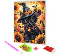 Hoobee 5D DIY Diamond Painting Halloween Citrouille, Diamond Painting Adulte Chat Noir, Peinture Diamant Diamant Painting Broderie au Point de Croix Mosaïque Strass Décoration de la Maison 30x40cm