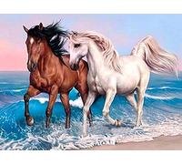 Hoobee DIY 5D Diamond Painting Kits Cheval, 5D Broderie Diamant Painting Kit Complet Animal Point Point De Croix Strass Broderie Craft pour Home Décoration Murale 30x40 cm