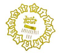 HOODANCOS Bannière Photo Mensuelle pour Bébé 1er Anniversaire, Guirlande Décorative Étoiles Paillettes, 12 Clips pour Photos, Décoration Fête Garçon et Filles, Accessoires Anniversaire