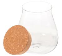 HOODANCOS Bouteille Écologique en Verre 10x11 Cm Bouchon en Liège, Conteneur Paysager en Mousse pour Micro-Paysage, Décoration Intérieure Naturelle et Accessoire Décoratif Réutilisable