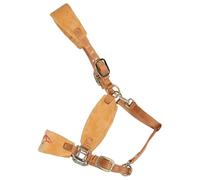 HOODANCOS Horse Halter And Rope Breakaway Adjustable With Padded Chin Strap Practical Sports Head Rope For Equestrian Training Riding Trail Ranch And Show Use