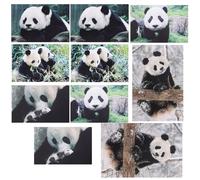 HOODANCOS Lot de 10 Cartes Postales Panda en Papier, Série Photographie Animale, pour Scrapbooking ou Envoyer une Note, Design Adorable et Original