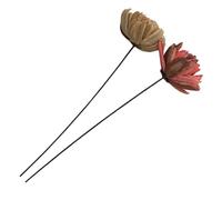 HOODANCOS Lot de 2 Bouquets de Fleurs Séchées Naturelles Préservées Rose et Beige Décor Floral D’Intérieur Écologique pour Maison Mariage et Bureau Accessoires D’Arrangement Floral